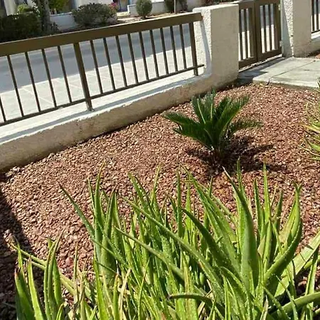 Dalia 9 Appartement Paphos