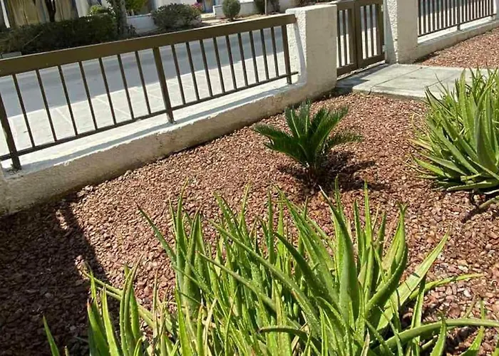 Dalia 9 Apartmán Paphos